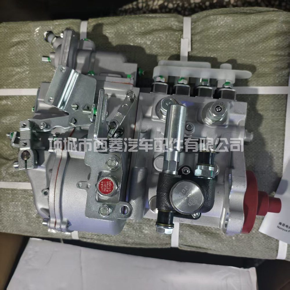 Fuel Injection Pump 1111100 view 2