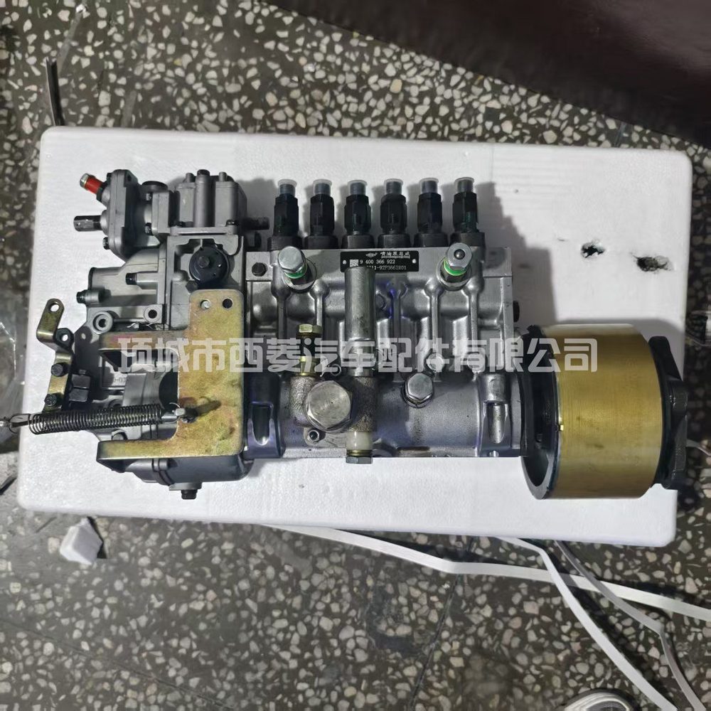 Fuel Injection Pump 1111100 view 3