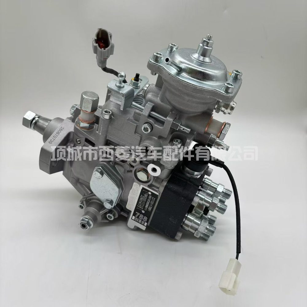Fuel Injection Pump 196000-1111
