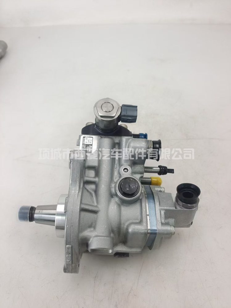 Fuel Injection Pump 22100-11010