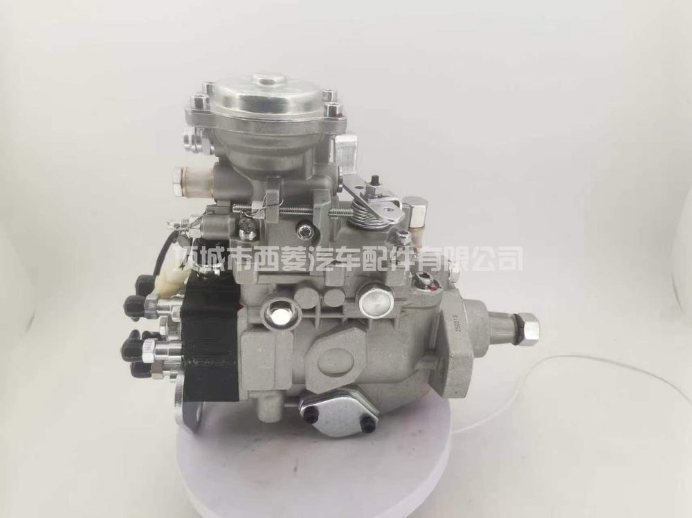 Fuel Injection Pump 22100-1C301