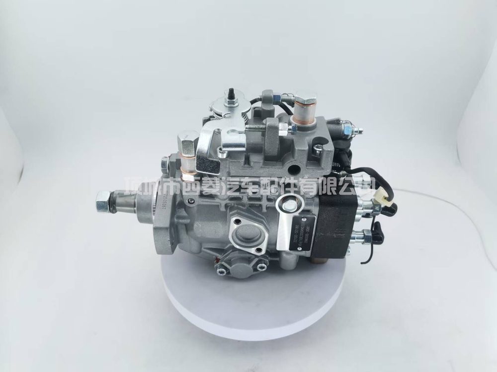 Fuel Injection Pump 22100-5D180