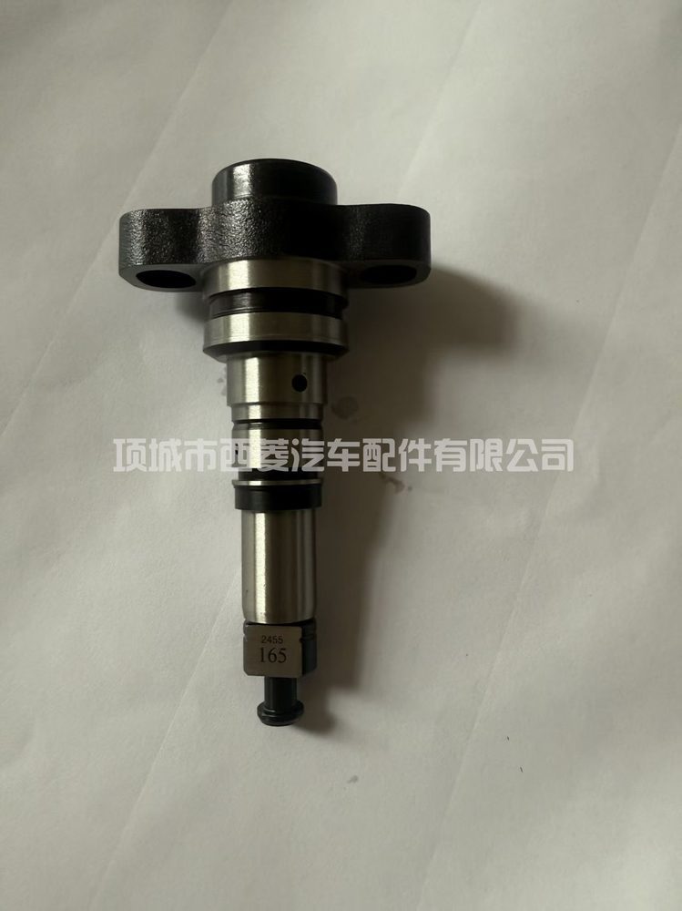 Plunger 2418455165