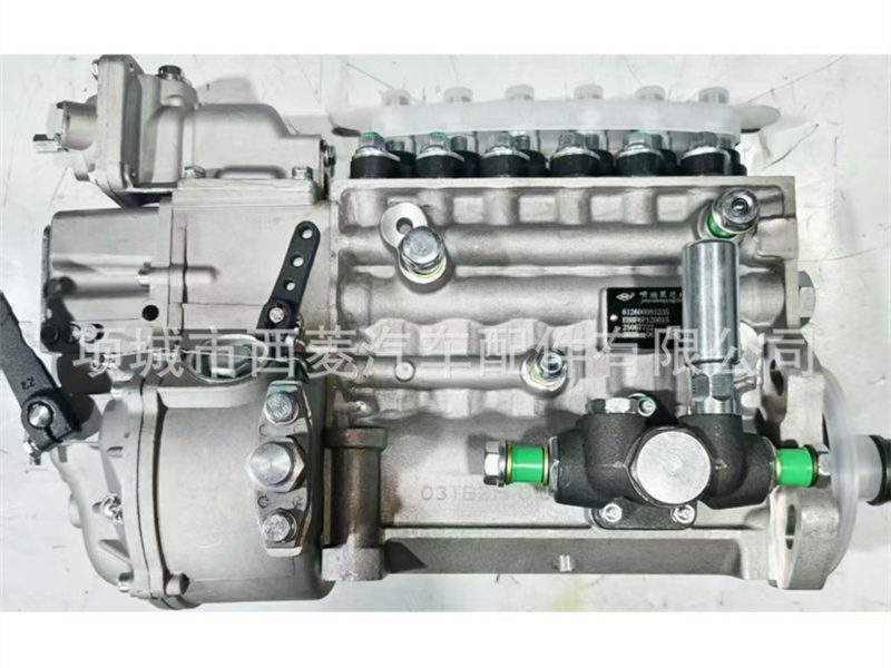 Fuel Injection Pump 3922425