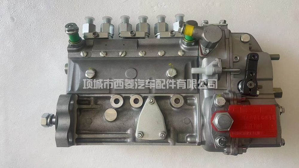 Fuel Injection Pump 3976438