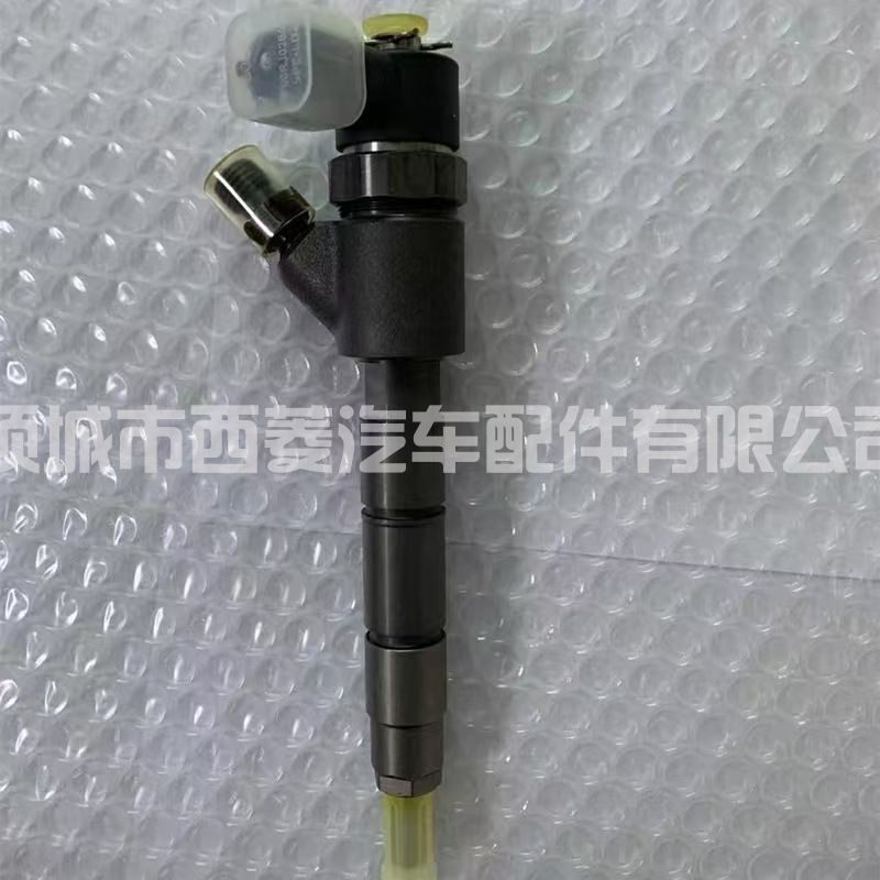 Injector 4954374 view 2