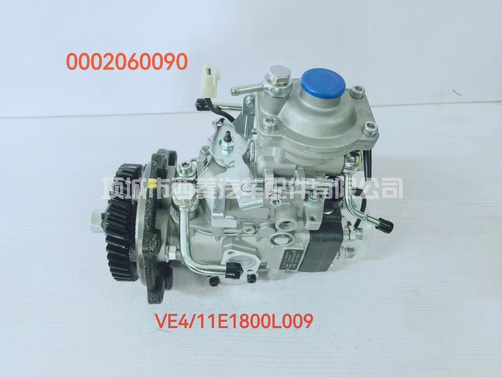 Fuel Injection Pump BJ493ZLQ1